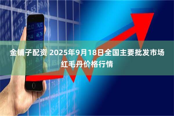 金铺子配资 2025年9月18日全国主要批发市场红毛丹价格行情